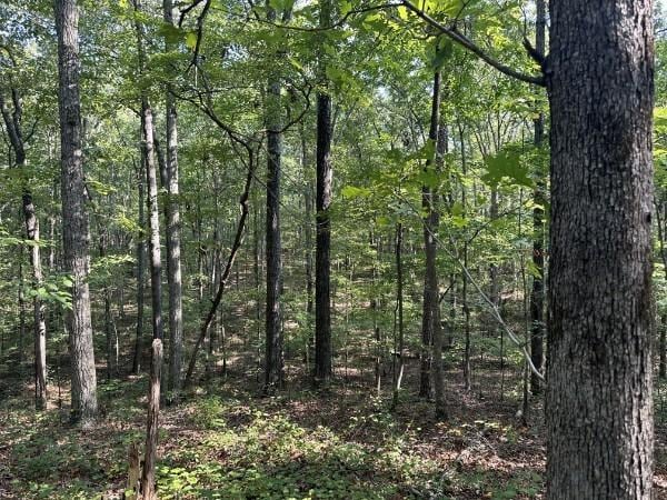 8812 Lutts Rd, Lutts, TN 38471