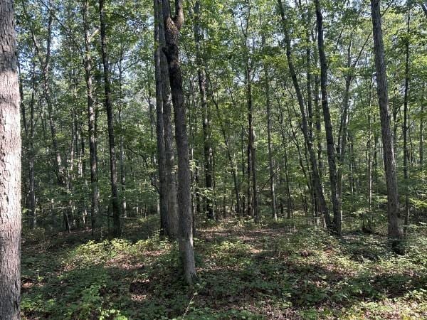 8812 Lutts Rd, Lutts, TN 38471