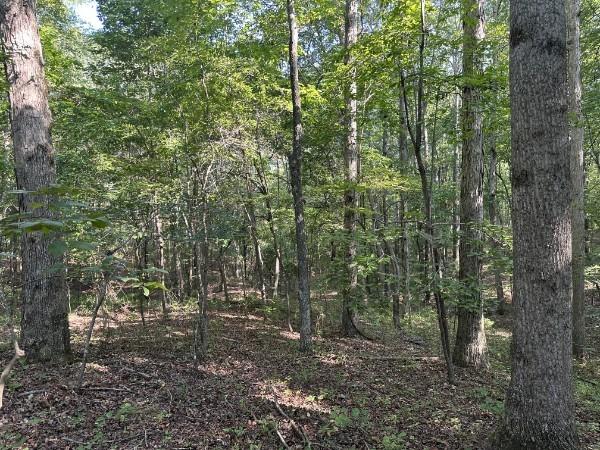 8812 Lutts Rd, Lutts, TN 38471