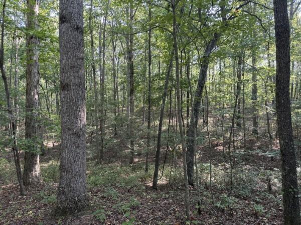 8812 Lutts Rd, Lutts, TN 38471