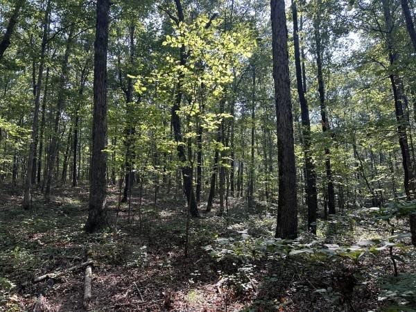 8812 Lutts Rd, Lutts, TN 38471
