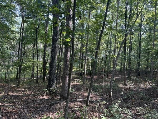 8812 Lutts Rd, Lutts, TN 38471