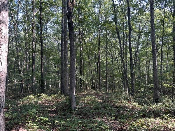 8812 Lutts Rd, Lutts, TN 38471