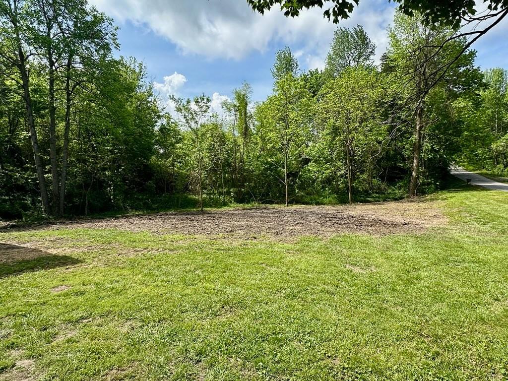 view of yard with a wooded view