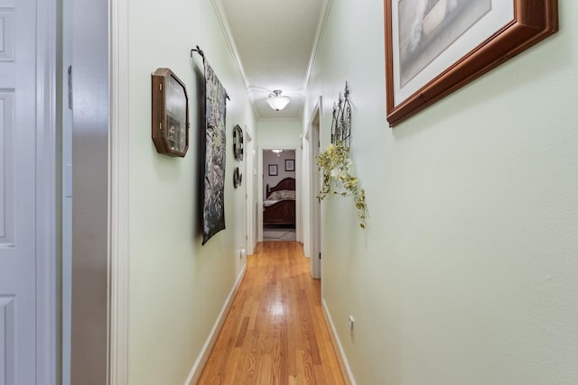 746 Shadow Ln, Belvidere, TN 37306 - hallway featuring ornamental molding, light wood-style flooring, and a textured ceiling