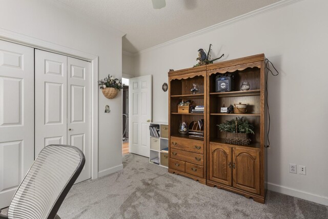 746 Shadow Ln, Belvidere, TN 37306 - office featuring ornamental molding, light carpet, and baseboards