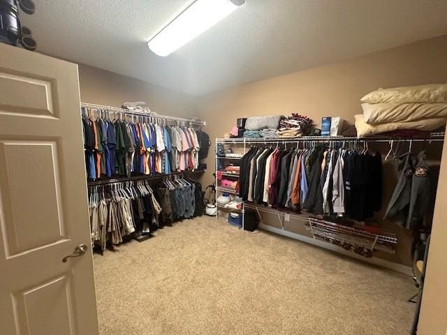 walk in closet with carpet floors