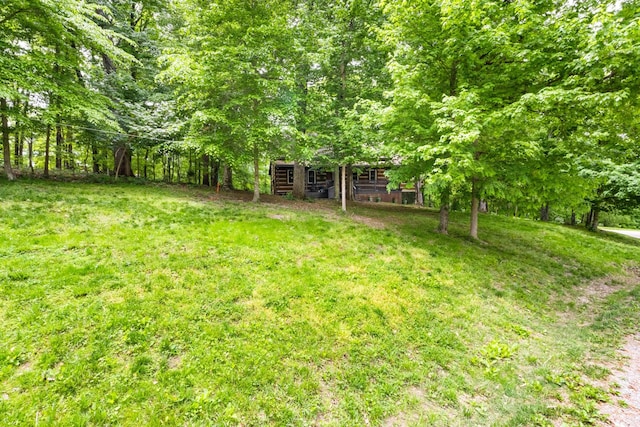 460 Seven Springs Rd, Clarksville, TN 37043 - view of yard