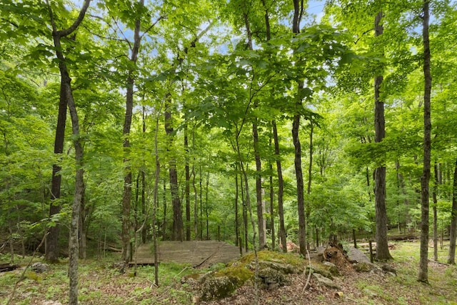 460 Seven Springs Rd, Clarksville, TN 37043 - view of nature featuring a forest view
