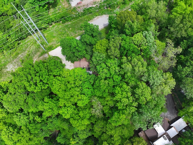 460 Seven Springs Rd, Clarksville, TN 37043 - aerial view