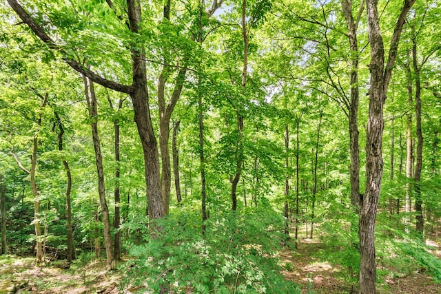 460 Seven Springs Rd, Clarksville, TN 37043 - view of local wilderness with a forest view