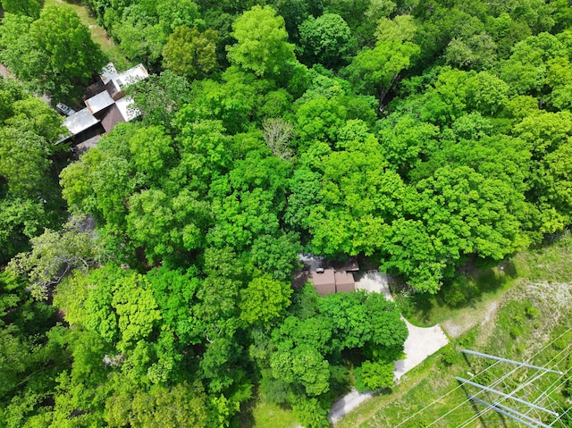 460 Seven Springs Rd, Clarksville, TN 37043 - bird's eye view