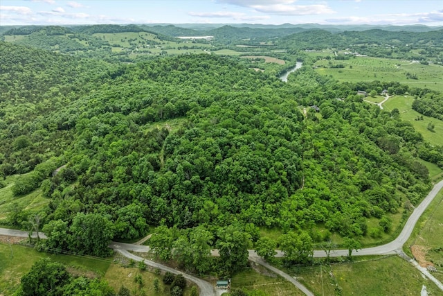 bird's eye view with a mountain view and a view of trees