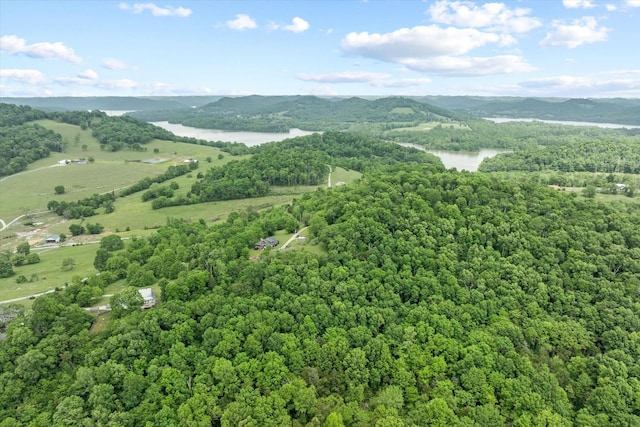 birds eye view of property with a water and mountain view and a view of trees