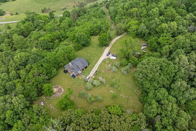 drone / aerial view
