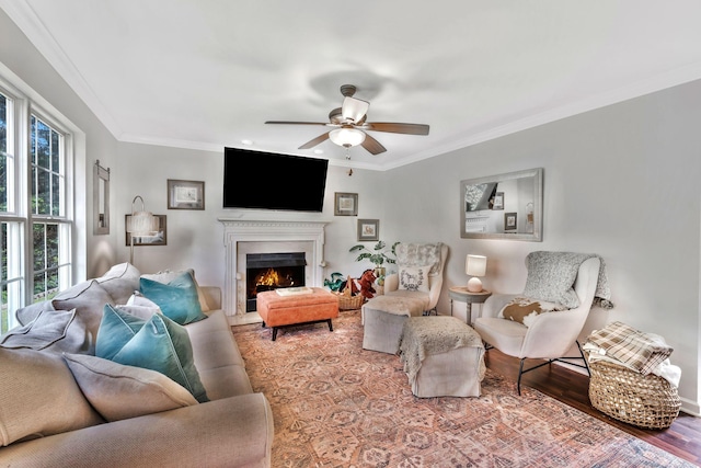 living room featuring a ceiling fan, crown molding, a lit fireplace, and wood finished floors