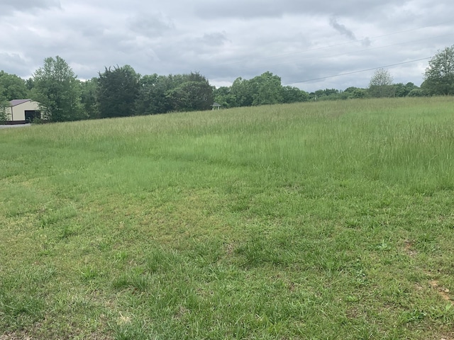 view of yard with a rural view