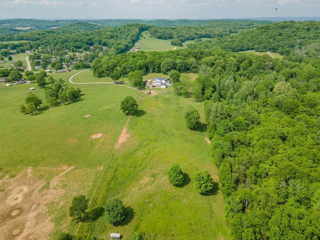 4000 Cantebury Dr, Culleoka, TN 38451 - photo 80