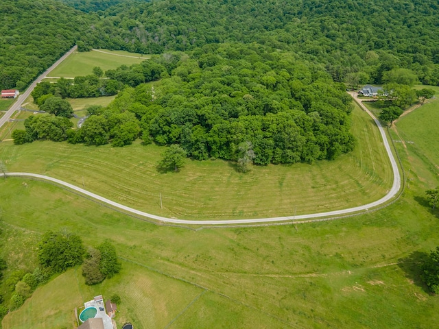 4000 Cantebury Dr, Culleoka, TN 38451 - photo 84