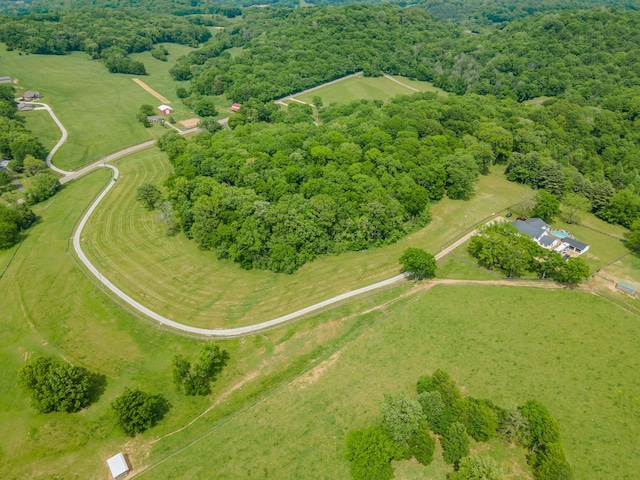 4000 Cantebury Dr, Culleoka, TN 38451 - photo 87