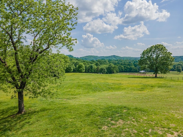4000 Cantebury Dr, Culleoka, TN 38451 - photo 79
