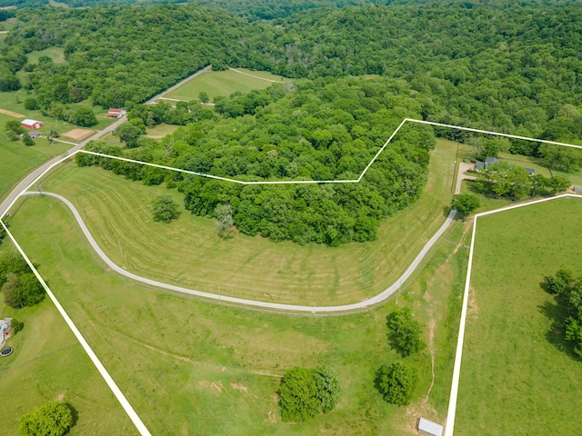 4000 Cantebury Dr, Culleoka, TN 38451 - photo 85