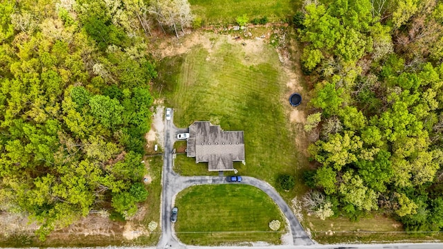 drone / aerial view