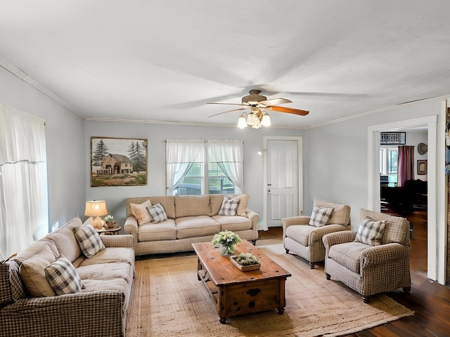 living room with ceiling fan, crown molding, and wood finished floors