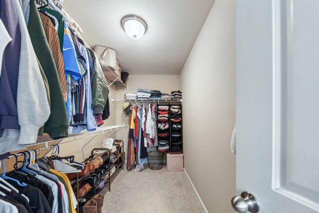 5002 Fox Run S, Spring Hill, TN 37174 - spacious closet with carpet flooring