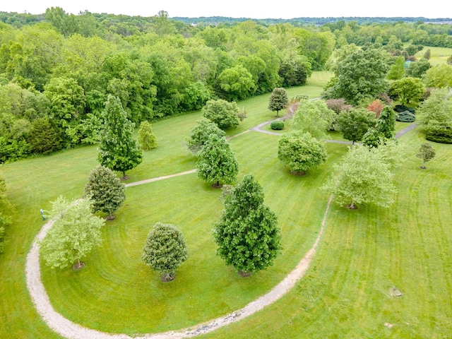 5002 Fox Run S, Spring Hill, TN 37174 - aerial view