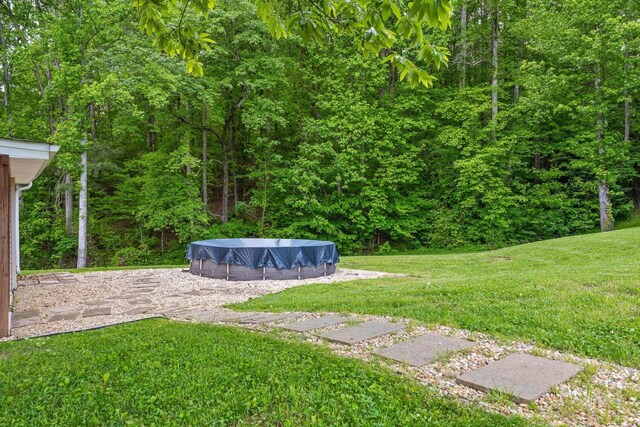 455 No Pone Valley Rd NW, Georgetown, TN 37336 - view of yard featuring a covered pool and a wooded view