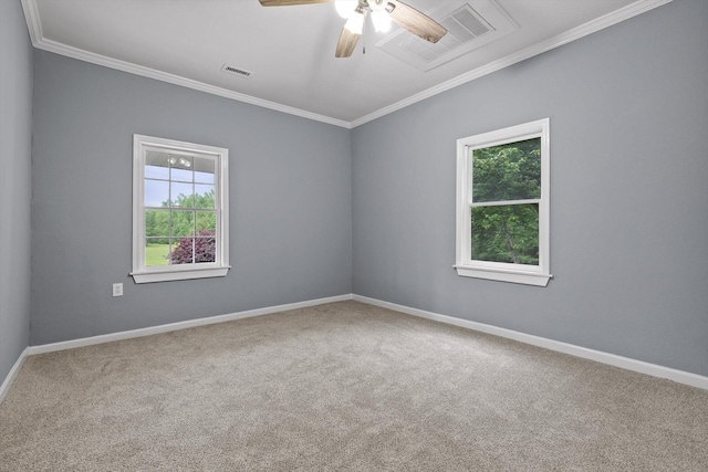455 No Pone Valley Rd NW, Georgetown, TN 37336 - spare room featuring visible vents, a healthy amount of sunlight, and carpet floors