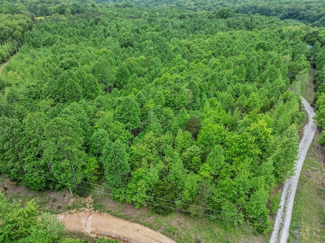 1 Urubamba Dr, Lyles, TN 37098