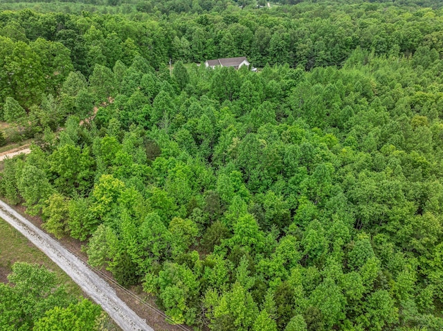 1 Urubamba Dr, Lyles, TN 37098
