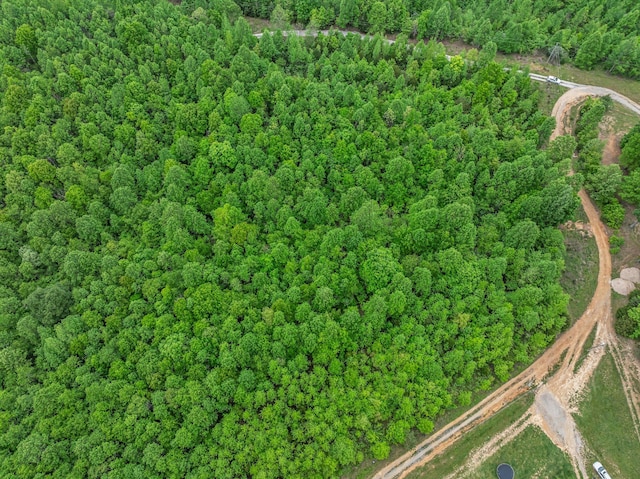 1 Urubamba Dr, Lyles, TN 37098