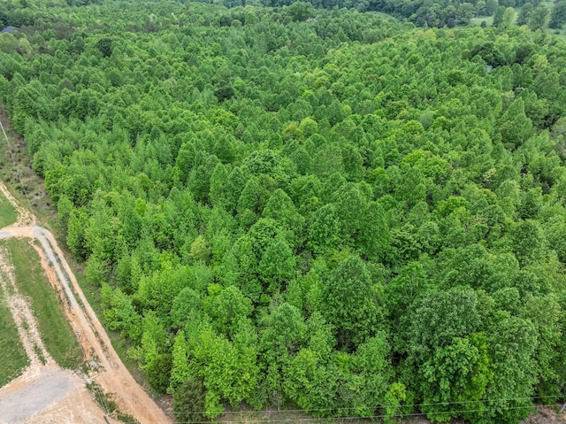 1 Urubamba Dr, Lyles, TN 37098