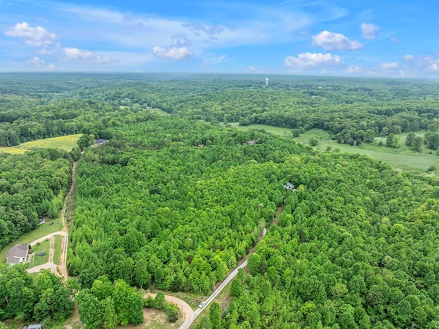 1 Urubamba Dr, Lyles, TN 37098
