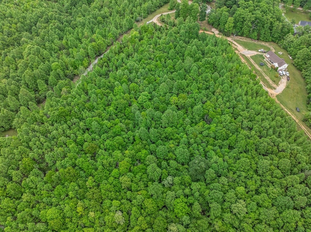 1 Urubamba Dr, Lyles, TN 37098