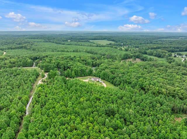 1 Urubamba Dr, Lyles, TN 37098