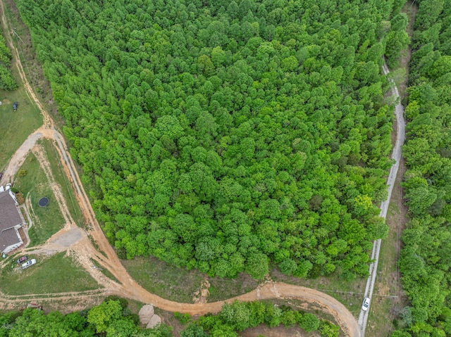 1 Urubamba Dr, Lyles, TN 37098