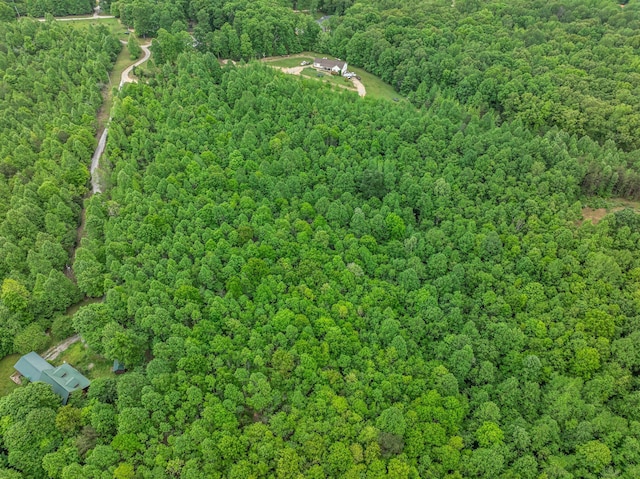 1 Urubamba Dr, Lyles, TN 37098