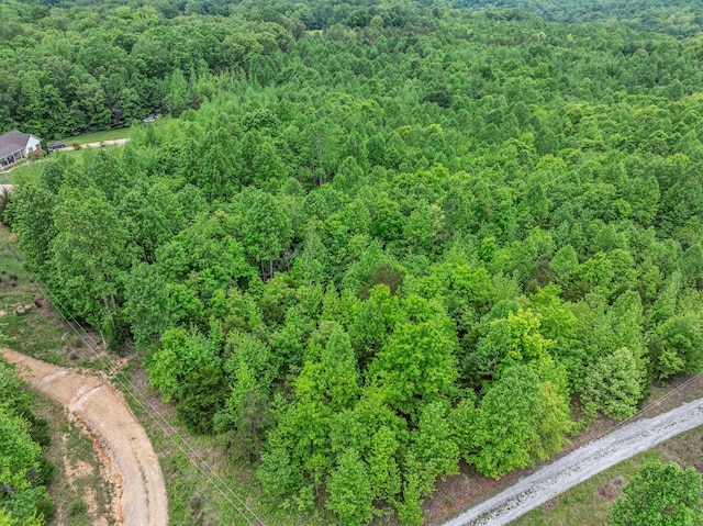 1 Urubamba Dr, Lyles, TN 37098