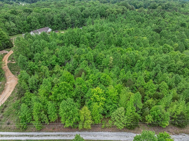 1 Urubamba Dr, Lyles, TN 37098