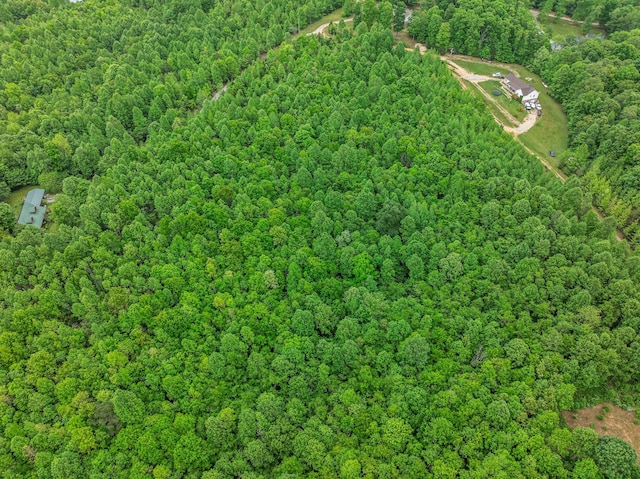 1 Urubamba Dr, Lyles, TN 37098