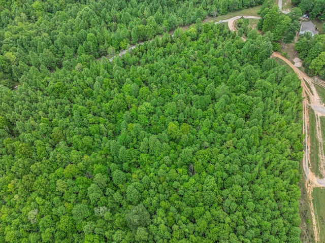 1 Urubamba Dr, Lyles, TN 37098