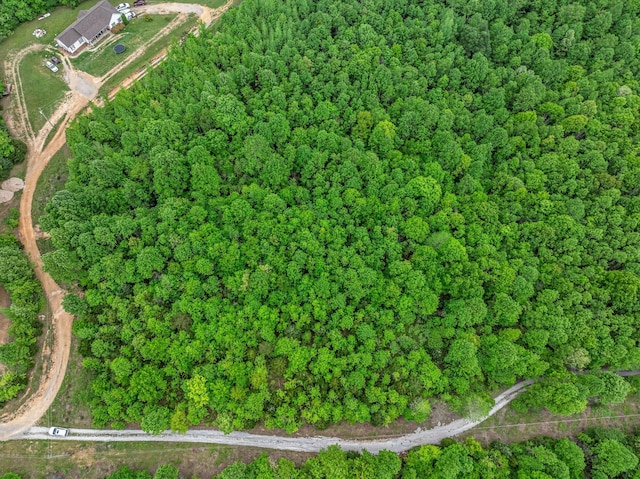 1 Urubamba Dr, Lyles, TN 37098
