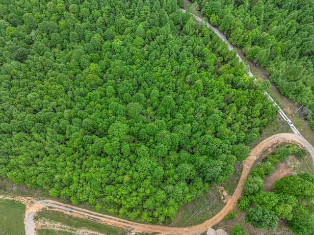1 Urubamba Dr, Lyles, TN 37098