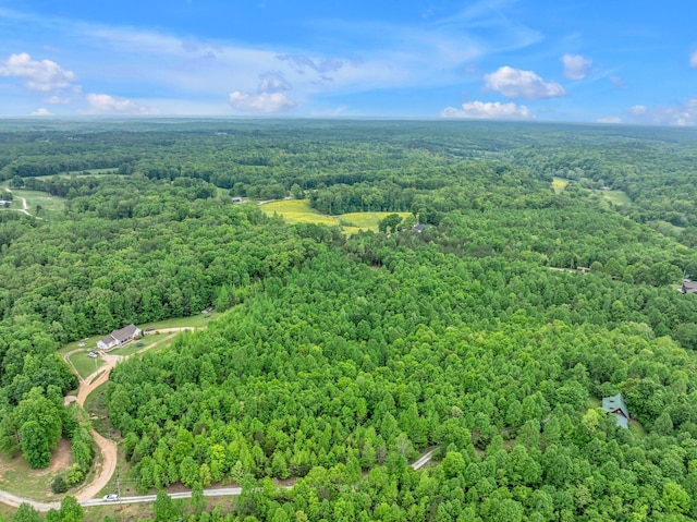 1 Urubamba Dr, Lyles, TN 37098