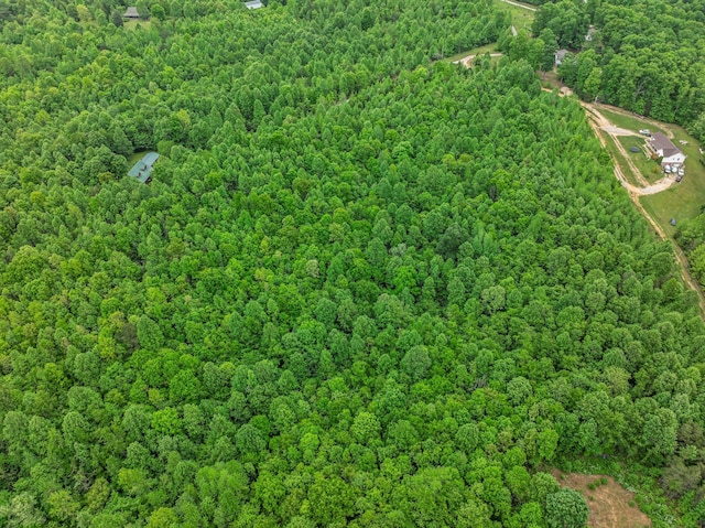 1 Urubamba Dr, Lyles, TN 37098