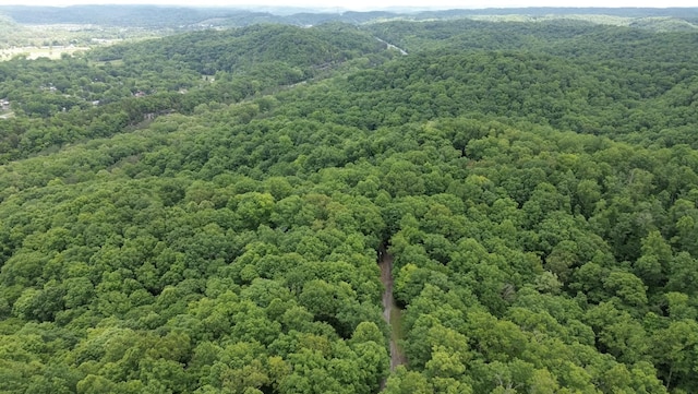 519 Turkey Rdg, Pegram, TN 37143 - photo 43